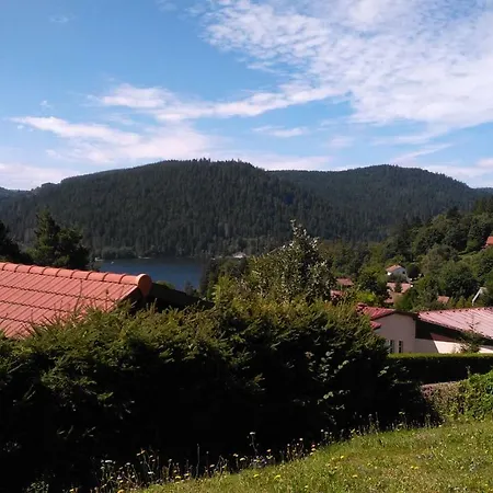Esprit Myrtille Terrasse Vue Lac Gérardmer Exterior foto