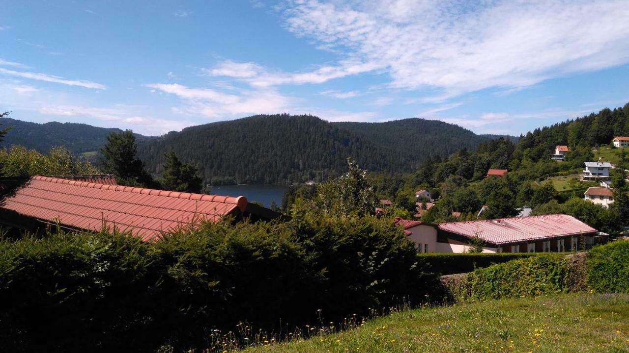 Esprit Myrtille Terrasse Vue * Gérardmer